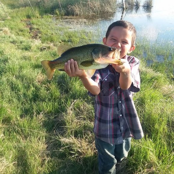 Meet your Posher, Mark - Picture 16 of 16